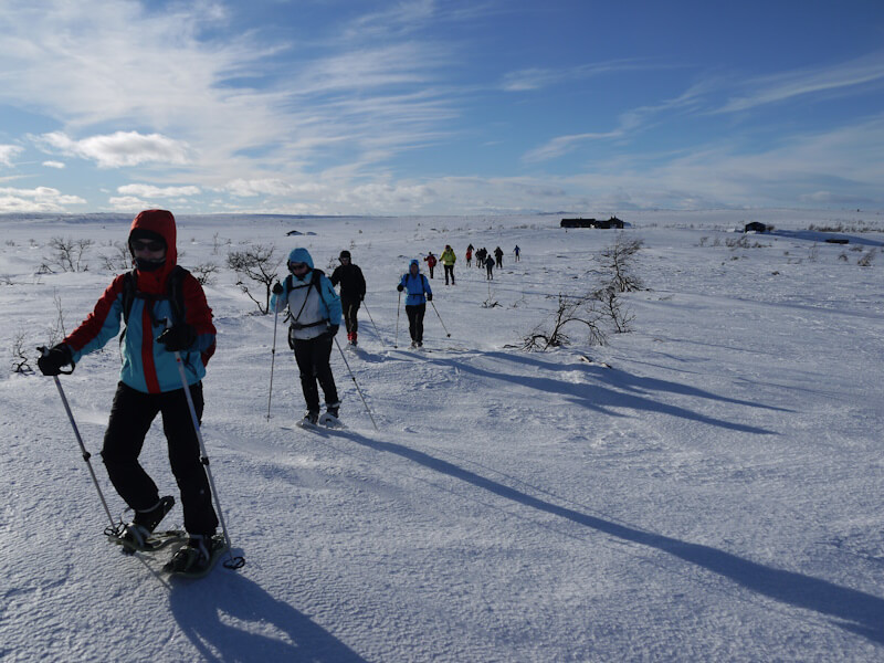 fulufjell schneeschuhtour