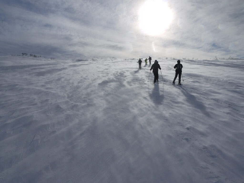 Tourengruppe beim Abstieg von Hochplateau des Fulufjells am 23.03.2015