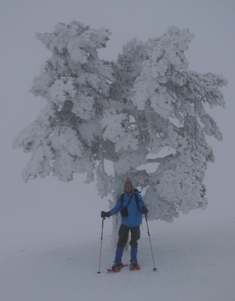 Anraum-Rauhreif an einer kleinen Kiefer an der Baumgrenze oberhalb der Waldgrenze beim Berg Städjan (1131 m) am 02.01.2014.