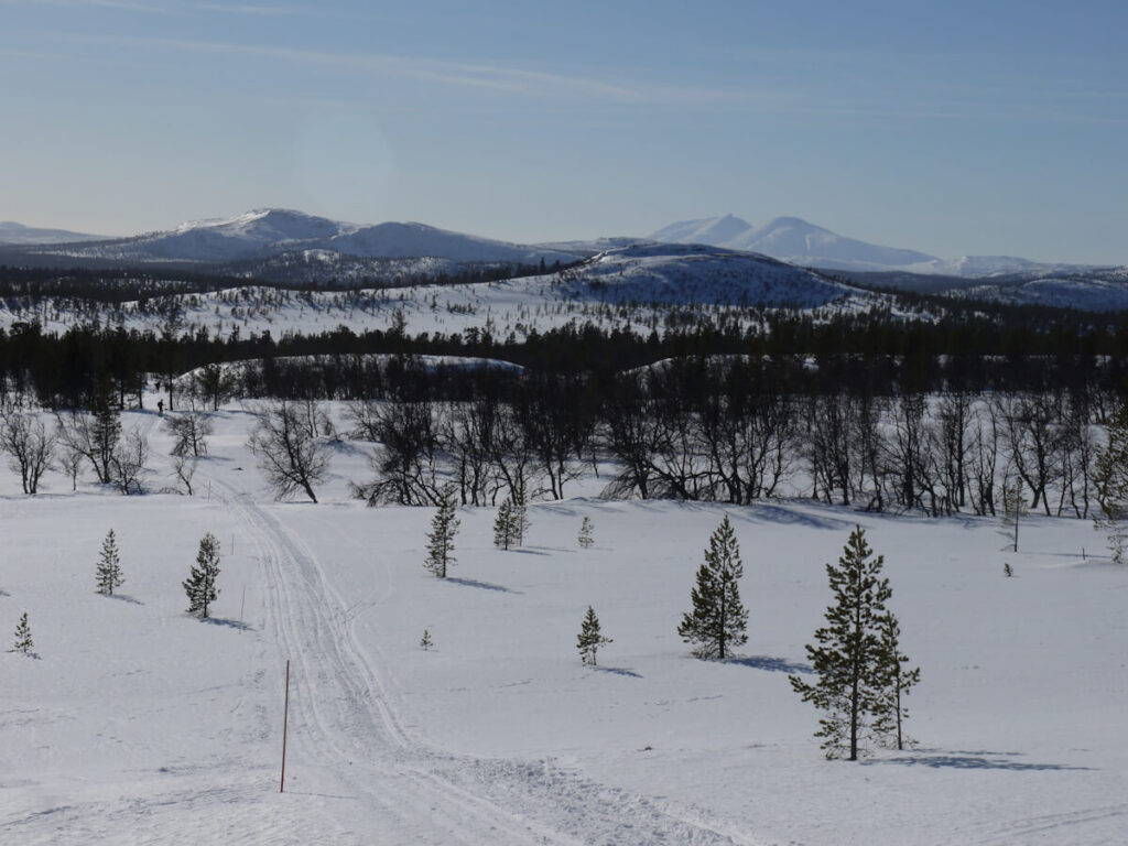 Blick auf die Berge Store (1219 m), Rundhøgda (1120 m), Sushøgda (1252 m) und im Hintergrund Elgåhogna (1460 m) in der Femundsmarka auf dem Winterweg von Grövelsjön nach Valdalen am 11.03.2015