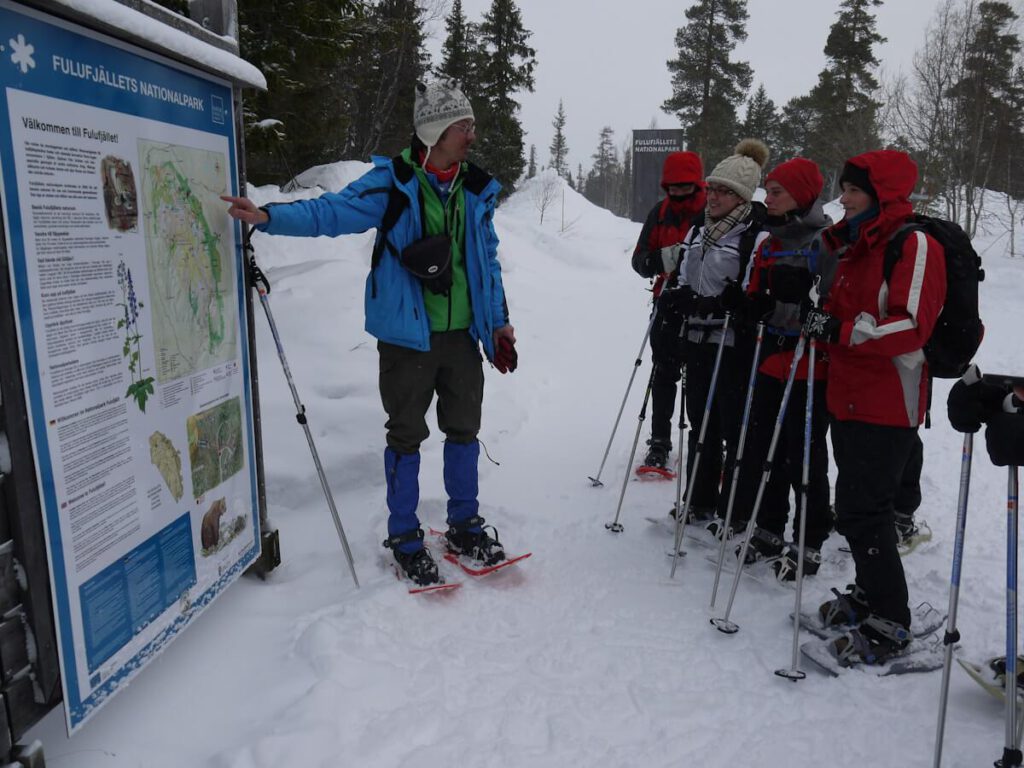 Naturkundliche Instruktion vor einer Schneeschuhtour mit einer Tourengruppe auf der Fulufjell am 27.02.2015