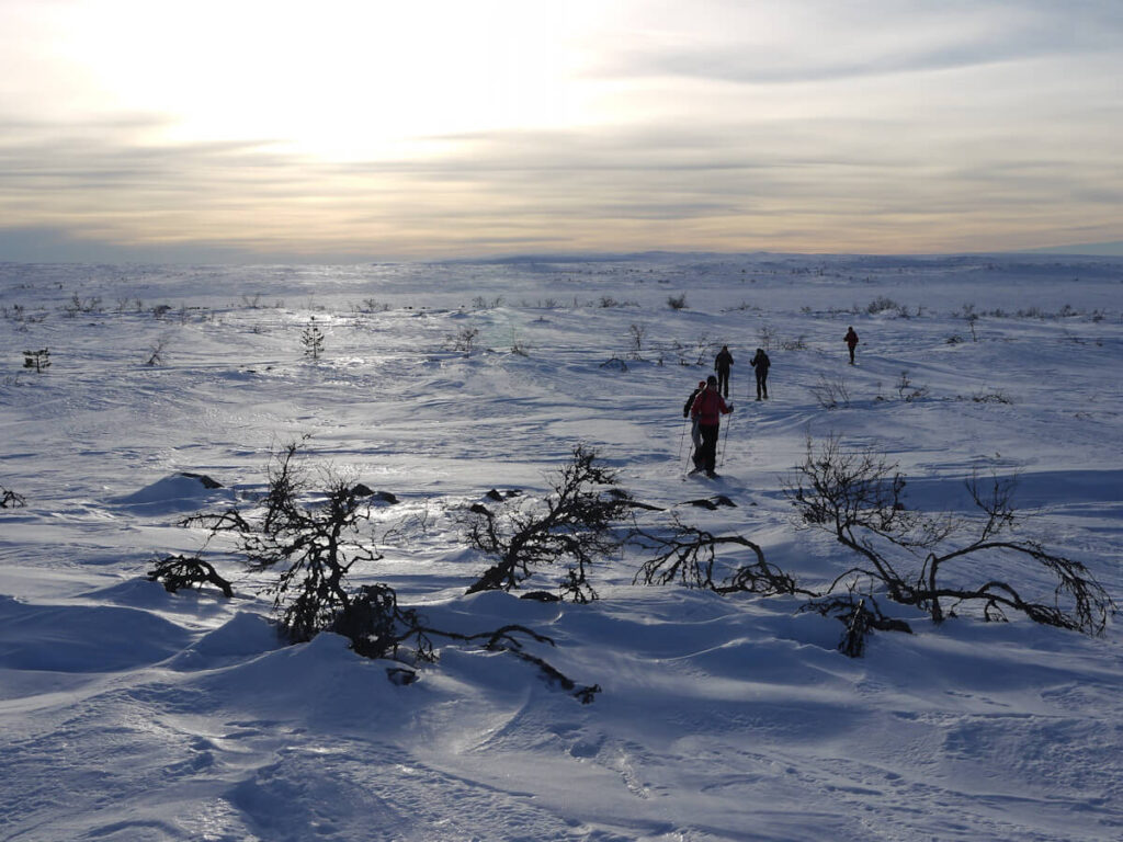 Tourengruppe unterwegs auf dem Kahlen Fjell des Hochplateaus des Fulufjells am 10.02.2015