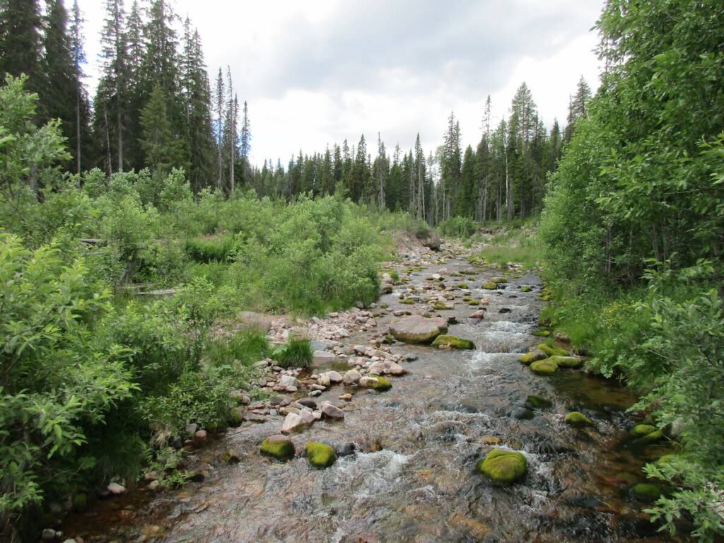 Das Tal des kleinen Flusses Göljån am Osthang des Fulufjells am 10.07.2016