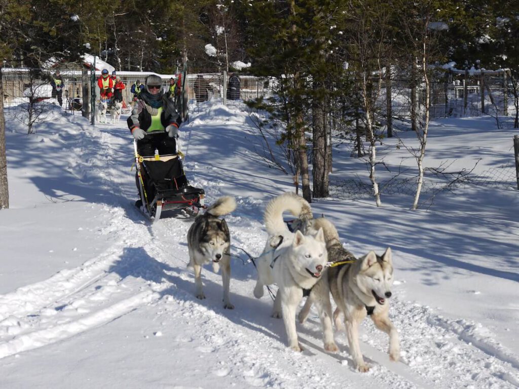 Beginn einer Hundeschlittentour bei der Huskyfarm Wyugas in Drevdagen am 17.02.2018