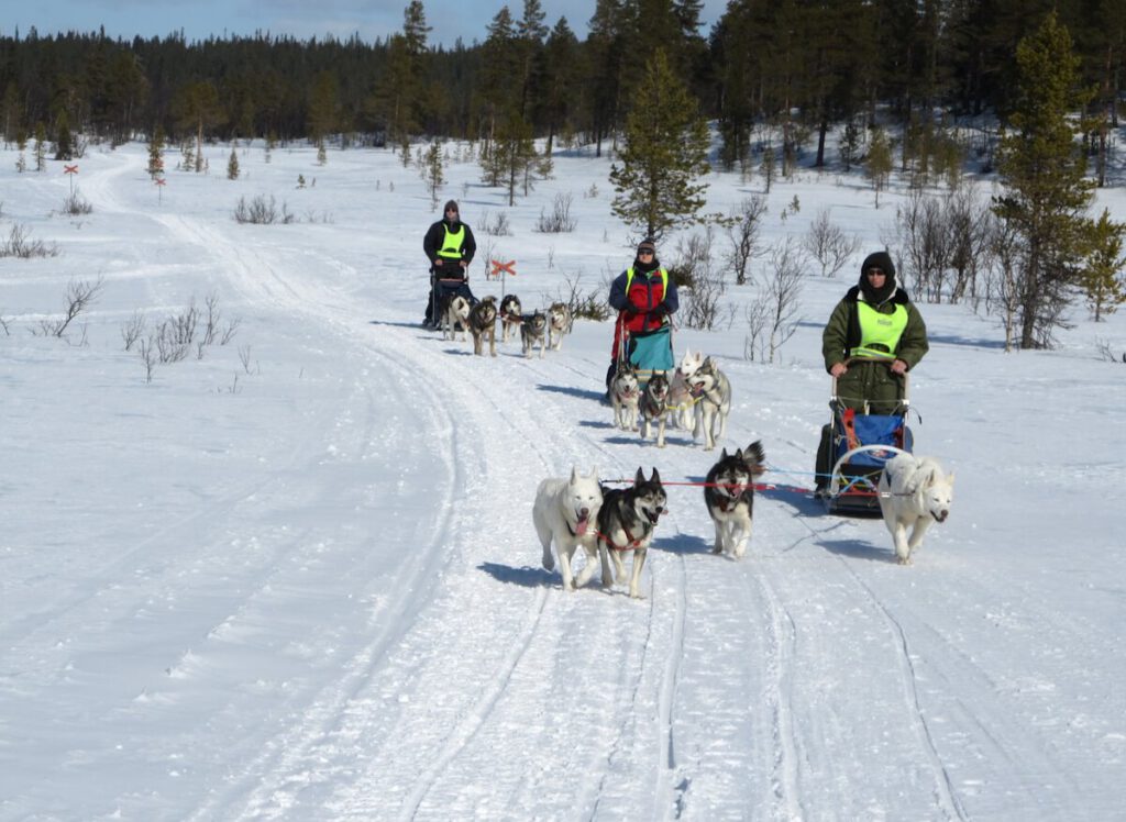 Hundeschlittentour durch die Winterlandschaft bei Drevdagen am 24.03.2014