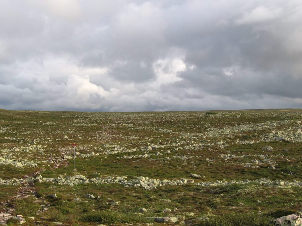 Kahles Fjell bei der Schutzhütte Särnmanskojan auf dem Fulufjell am 20.08.2008