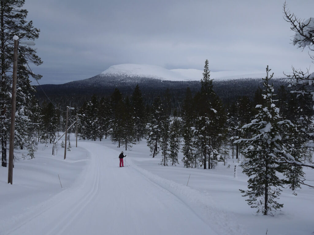 Winterweg mit Loipe im Bergwald im Skilanglaufgebiet Idrefjell mit Blick auf das Nipfjell am 19.02.2014. Sämtliche Loipen im Skilanglaufgebiet Idrefjell werden täglich neu gespurt, und ein Teil der Loipen ist abends beleuchtet.