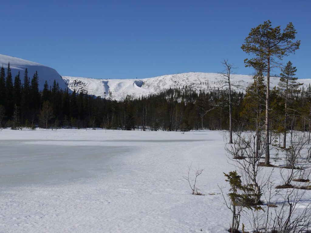 Blick über das Moor beim Naturpark-Informationszentrum "Naturum" zur Geländenische am Hang des Fulufjells, an deren Ende sich der Wasserfall Njupeskär befindet, der mit einer freien Fallhöhe von 93 m der höchste Wasserfall in Schweden ist (10.03.2014)