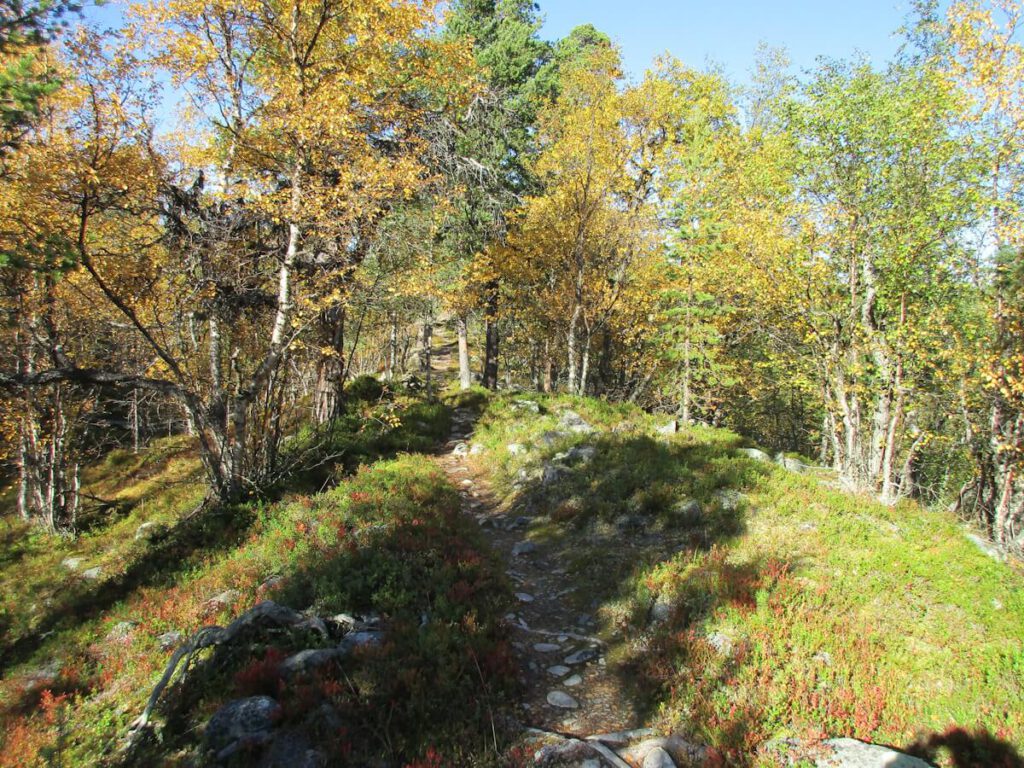 Eine glazialzeitliche wallartige Geländeerhebung (Os) in der Nähe der kleinen Hüttensiedlung Rogsbodarna am See Rogen (758 m) am 13.09.2016