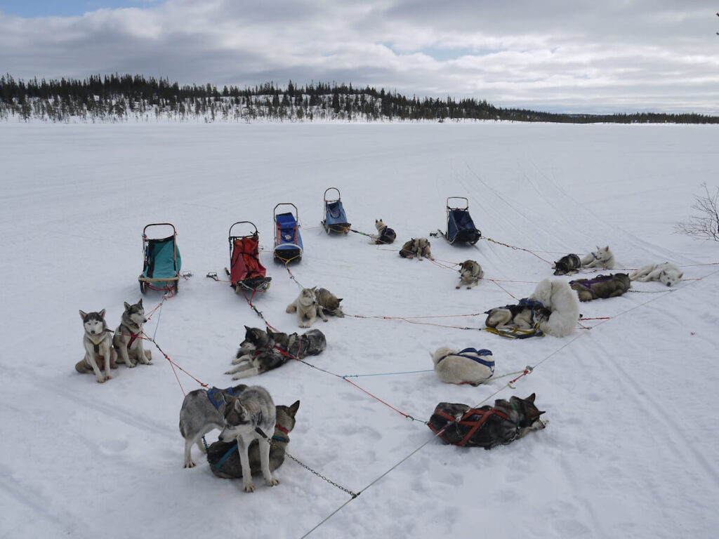 Rast während einer Hundeschlittentour am See Drevsjön (783 m) beim Drevfjället am 04.03.2014