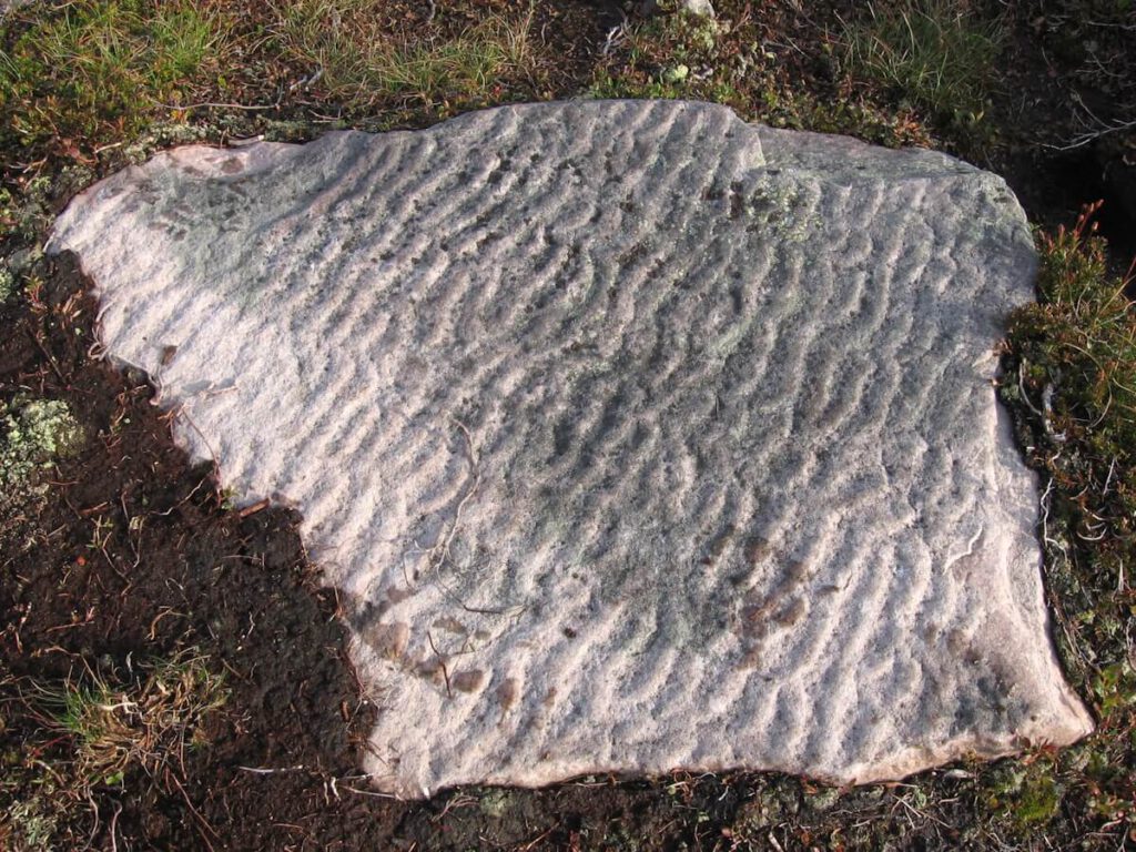 Ein Block des ca. 900 Millionen Jahre alten roten Sandsteins des Fulufjell-Massivs in der Nähe der Fjellhütte Särnmanskojan mit deutlich erkennbaren Rippeln am 20.08.2008. Rippeln sowie farblich differenzierte Schichtungen des Sandstein geben die Aufschluß über die Sedimentationsbedingungen und die damals herrschenden paläoökologischen und paläoklimatischen Verhältnisse.