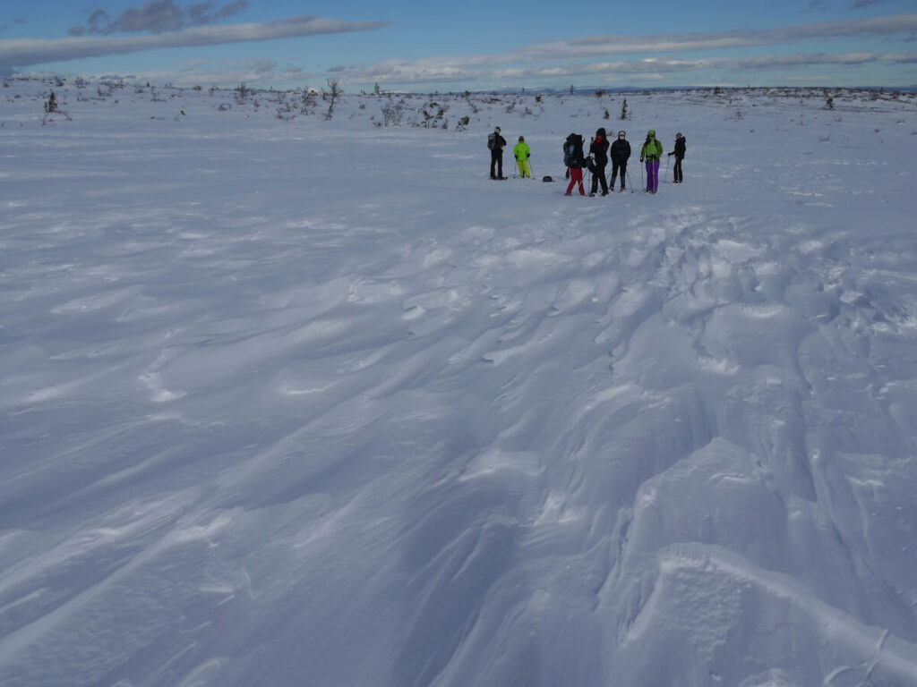 Deflations- und Korrasionsformen des vom Wind verlagerten Schnees auf dem Hochplateau des Fulufjells am 23.03.2015