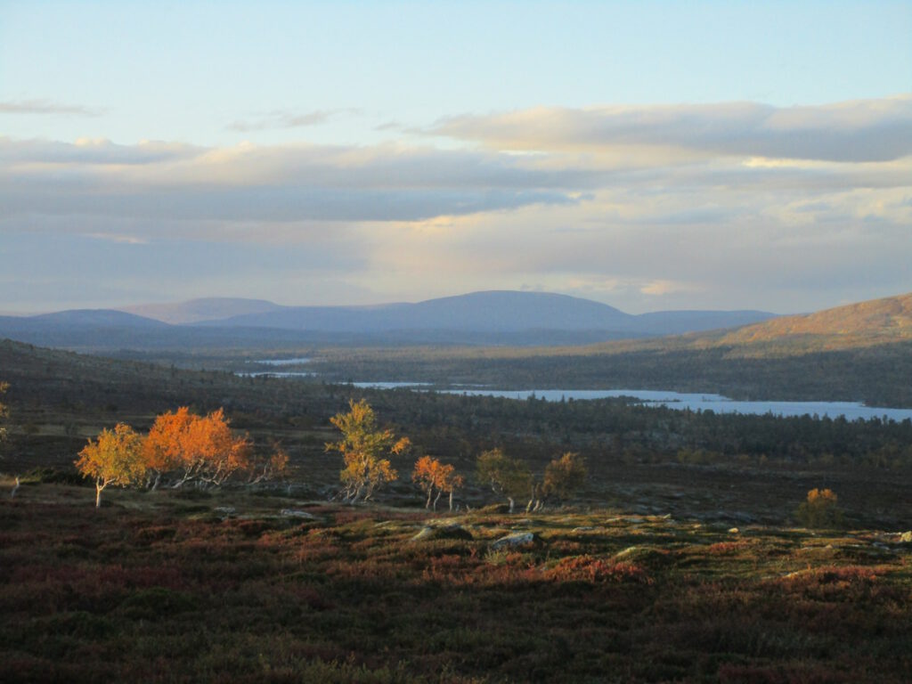 Blick vom Langfjell zum See Hävlingen (778 m) am Abend des 11.09.2016