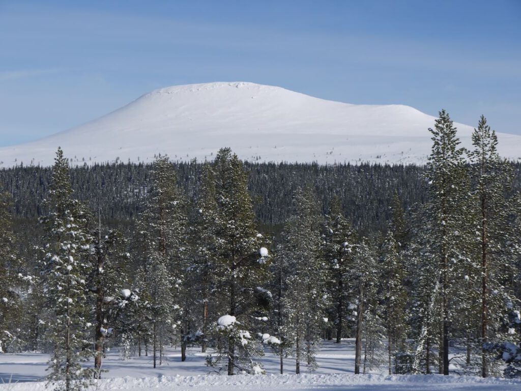 Blick auf den Berg Städjan (1131 m) von der Almsiedlung Gränjasvallen am 11.03.2018