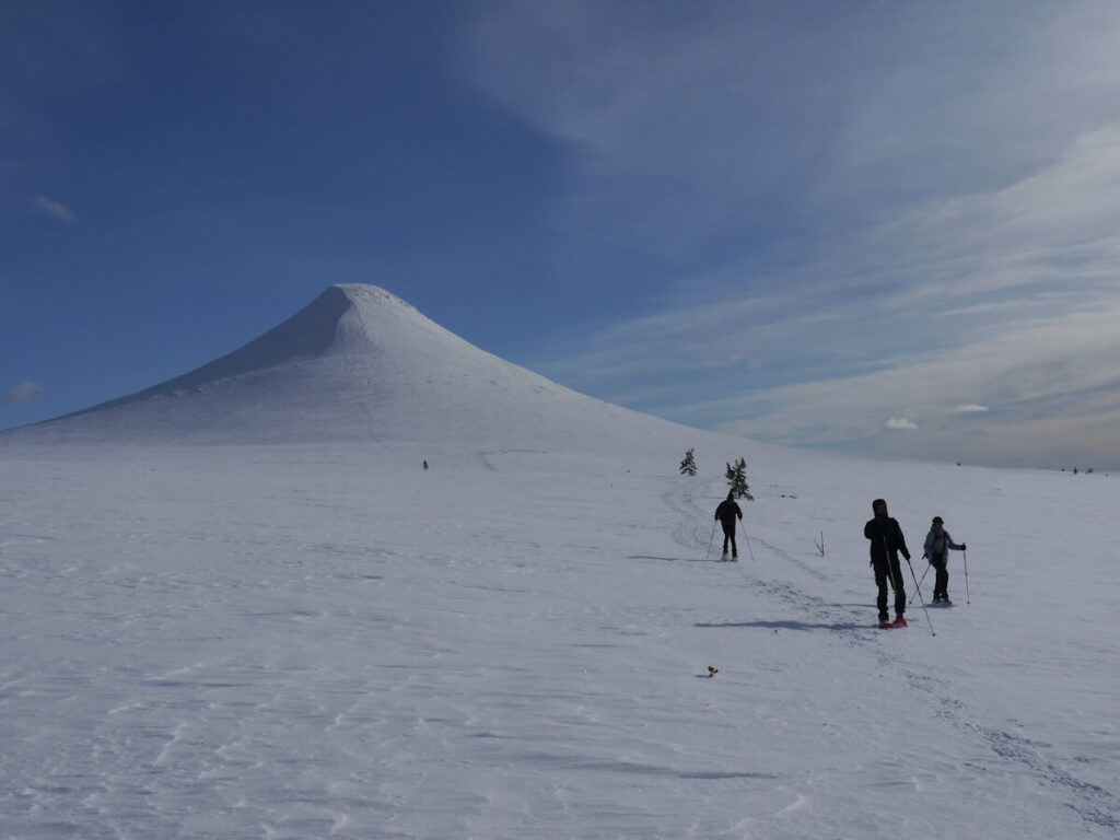 Blick auf den Berg Städjan (1131 m) von Nordwesten am 06.03.2015