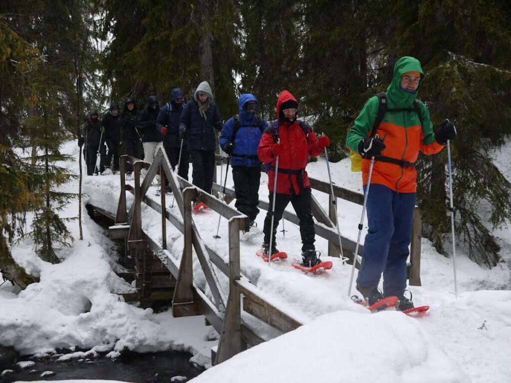 Tourengruppe im Berwald auf dem Weg vom Naturparkinformationszentrum "Naturum" zum Wasserfall Njupeskär beim Überqueren des Baches Stora Njupan, der vom Wasserfall Njupeskär herabfließt, am 15.03.2015