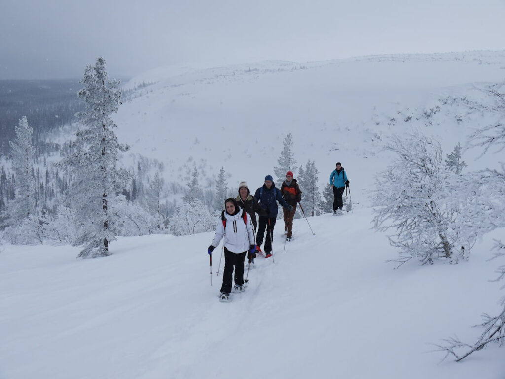 Tourengruppe an der Waldgrenze beim Aufstieg auf das Hochplateau des Fulufjells beim Wasserfall Njupeskär am 19.02.2018