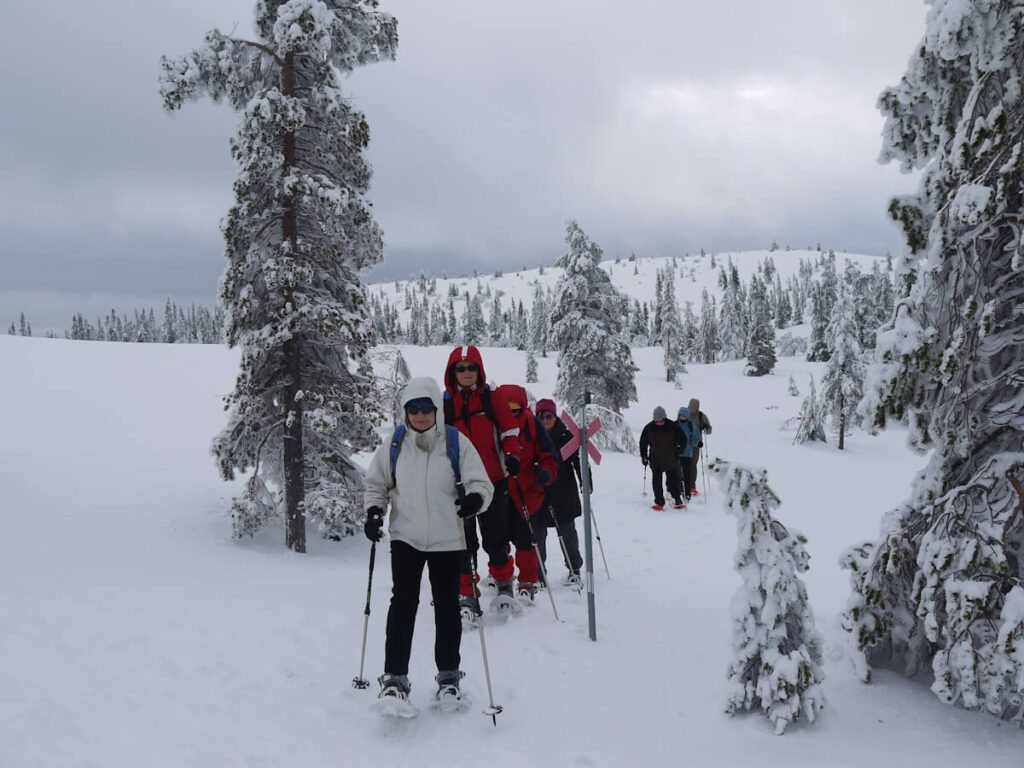 Tourengruppe an der Waldgrenze beim Aufstieg von der Almsiedlung Gränjåsvallen auf den Berg Städjan (1131 m) am 06.03.2014