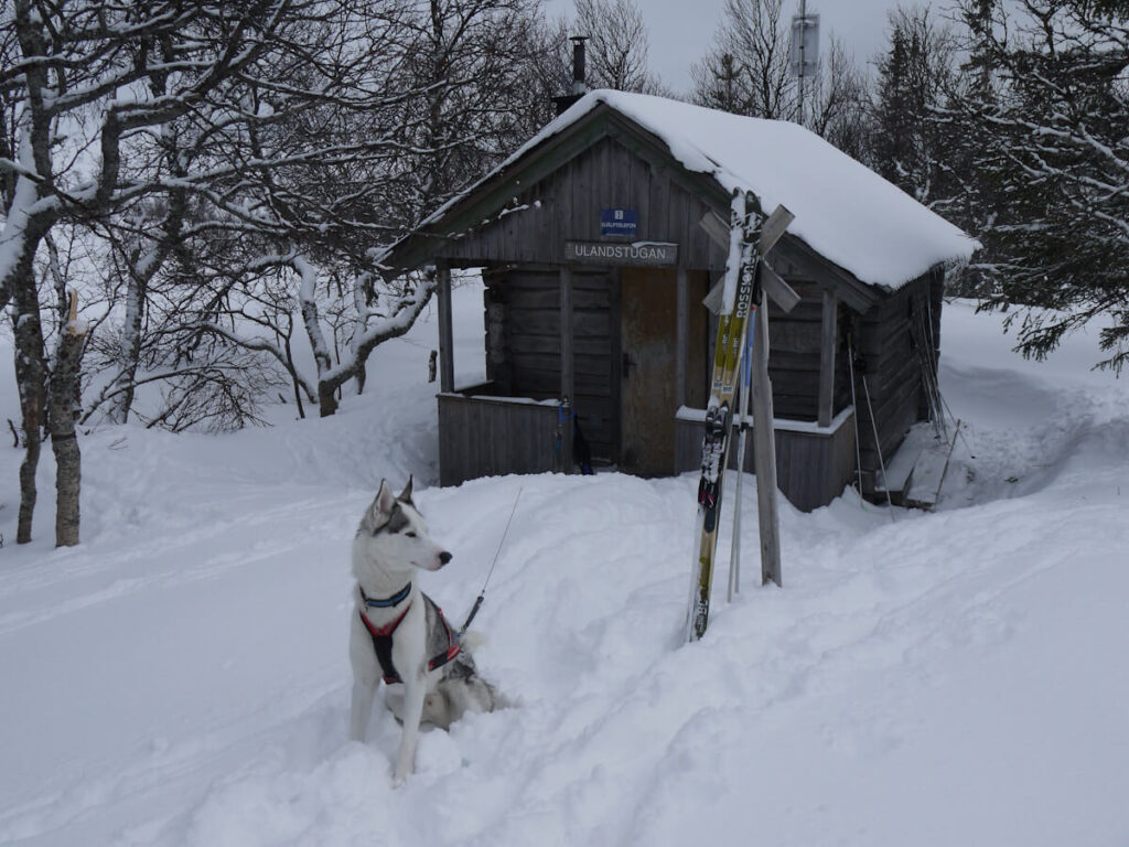 Die Schutzhütte Ulandstugan im Nordosten des Nipfjells am 27.03.2015