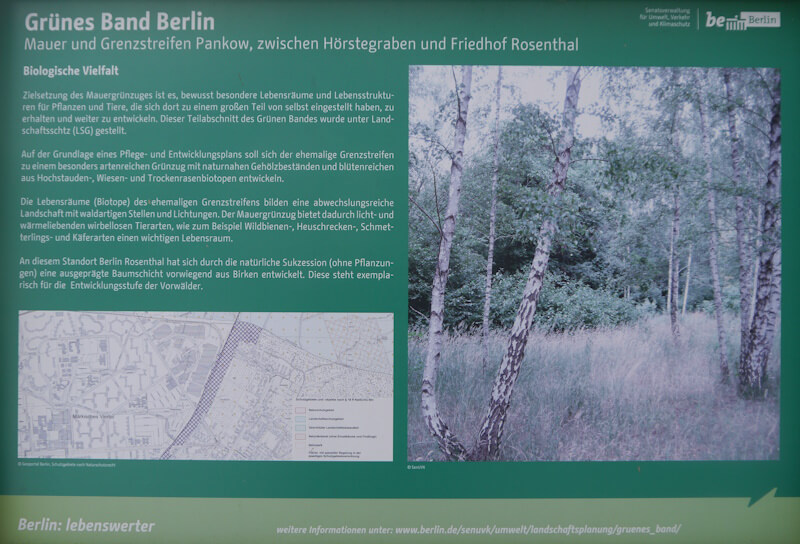 Auf dem ehemaligen Mauerstreifen der Berliner Mauer besteht heute ein Grünzug, das "Grüne Band Berlin" (12.01.2025).