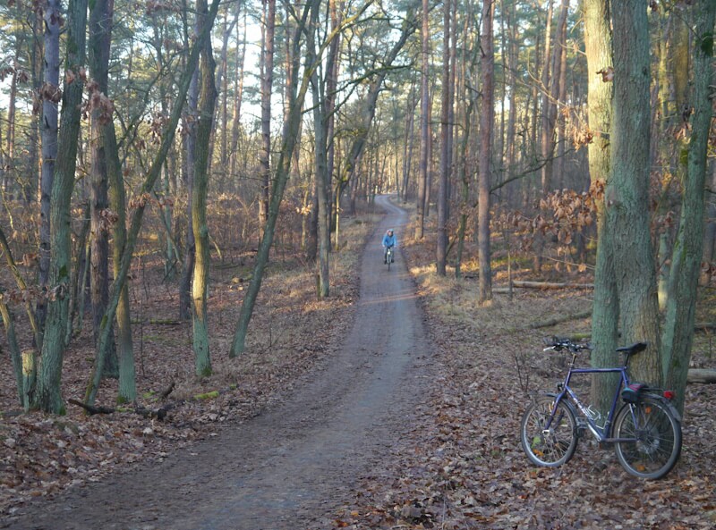 Der Mauerradweg im Nordwesten der Metropole Berlin in der Nähe der Siedlung "Eiskeller" (19.01.2025).