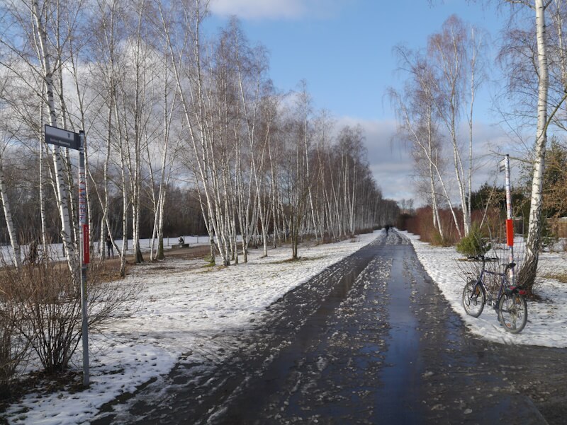 Der Mauerradweg in der Metropole Berlin bei der Schönholzer Heide (12.01.2025).