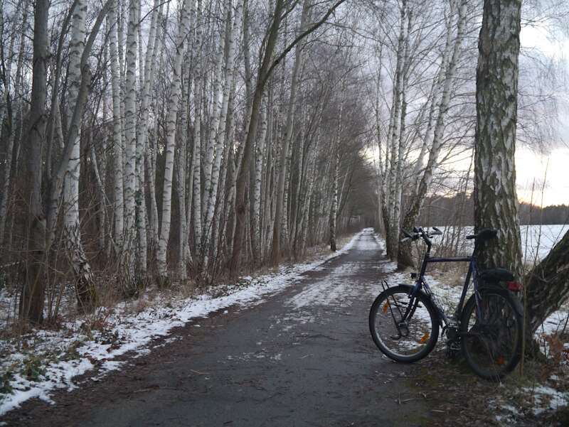 Der Mauerradweg im Noden der Metropole Berlin bei Frohnau (12.01.2025).