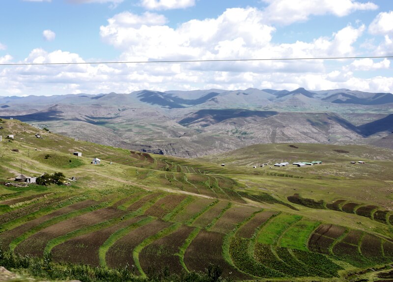 Field terraces in the highlands of Lesotho on December 14, 2025.