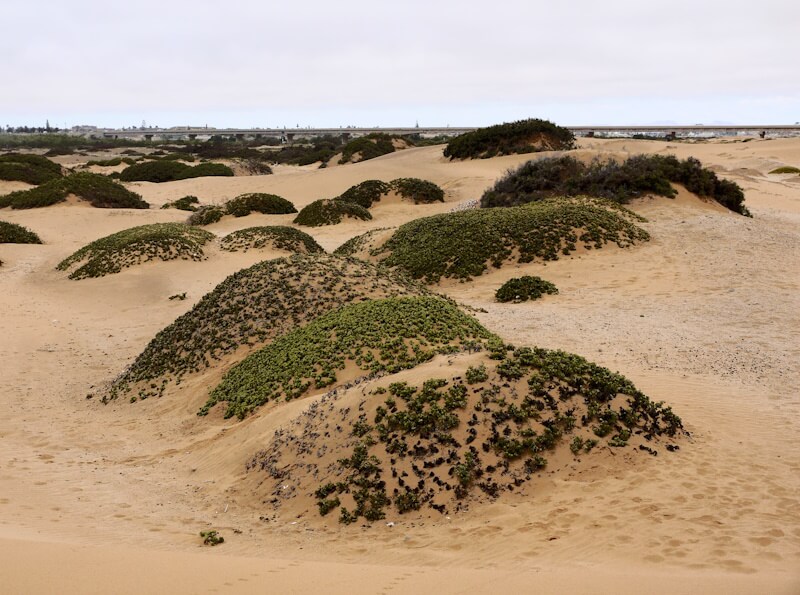 Vegetation-covered hills on the edge of the Namib Desert south of the town of Swakopmund, near the dry Swakop River, on November 12, 2025.